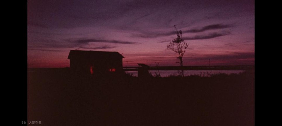 一只鸟儿哮啾啾