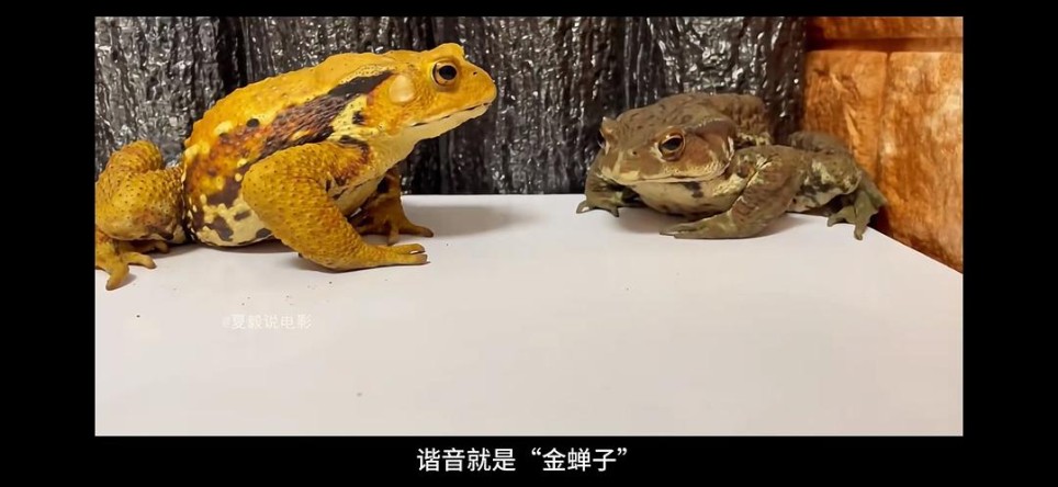 【人物和彩蛋解析】大家都是无名之辈,但我仍然认为自己是盖世英雄