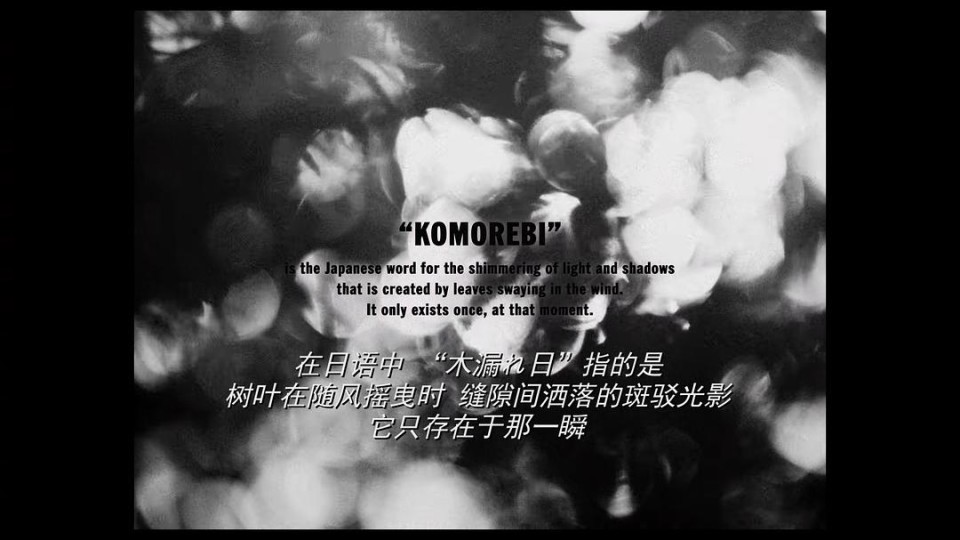 每一天都是完美的日子