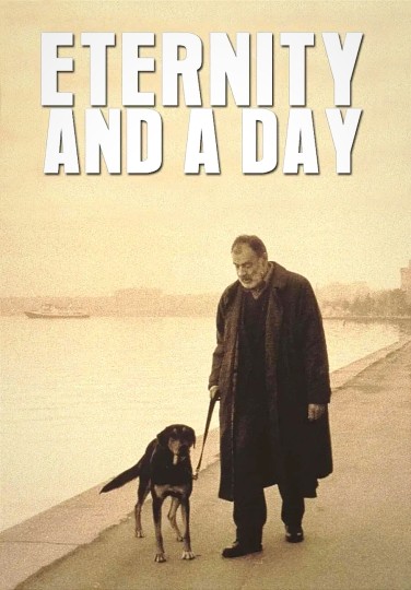 生命之旅丨上下求索&middot;孑然一身