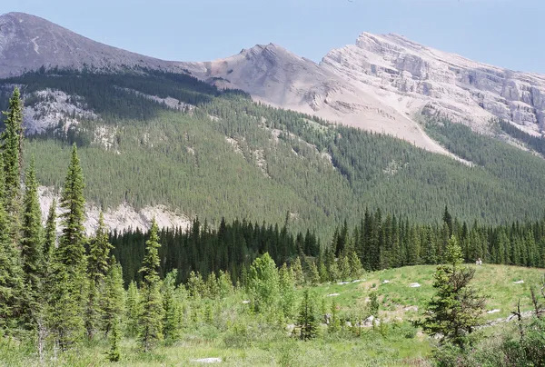用ai评分10分满分的诗组 以表我这小小影迷 对这电影的喜爱