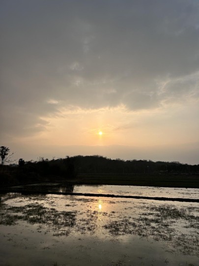 墓有重开日，人无再少年
